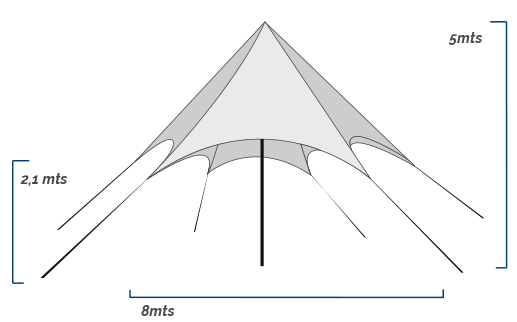 Carpa 8m