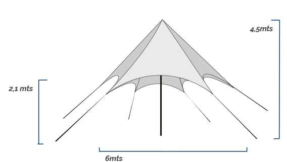 Carpa 6m