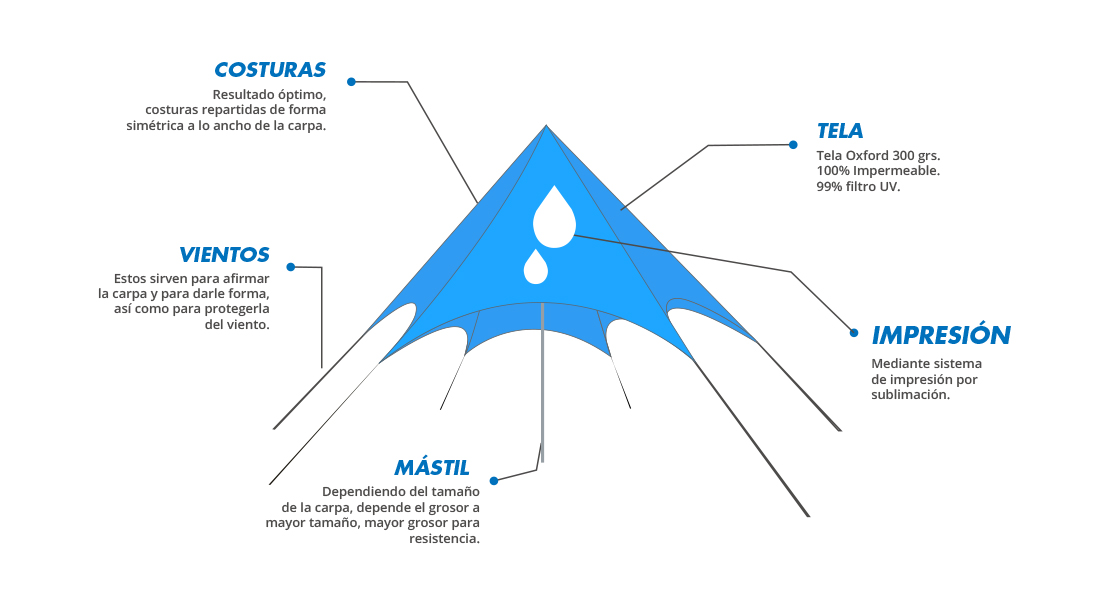 Carpa arana esquema